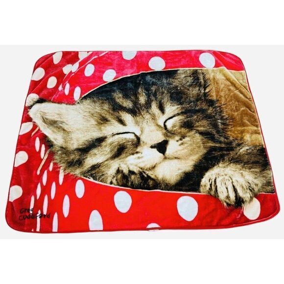 Greg Cuddiford Plush Blanket Kitten Polka Dot Box Northwest 50 x 60 Cat Kawaii - Picture 1 of 8